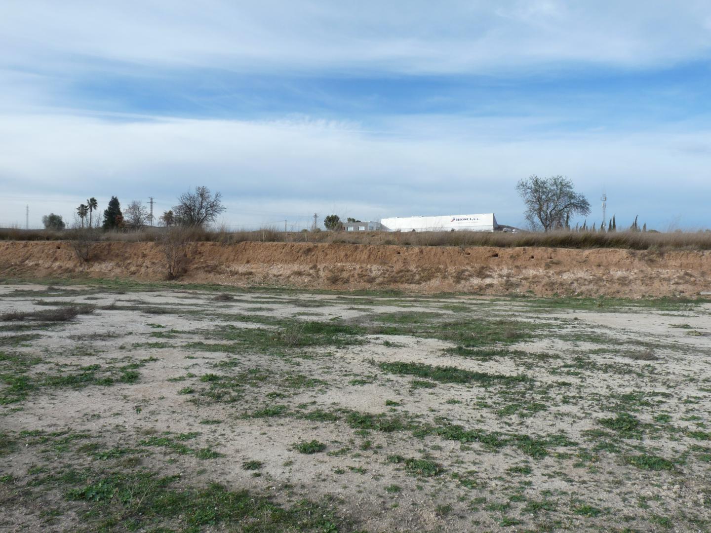 Plot for Sale in Alfarrasí