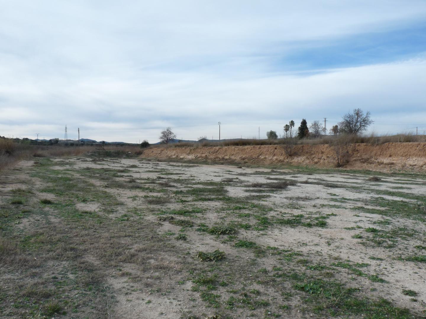 Plot for Sale in Alfarrasí