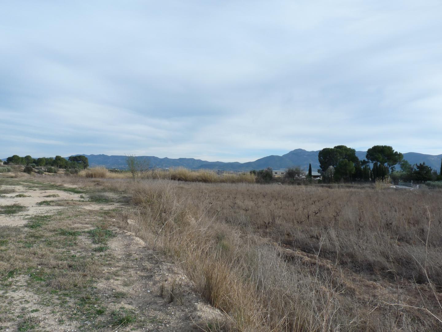 Plot for Sale in Alfarrasí
