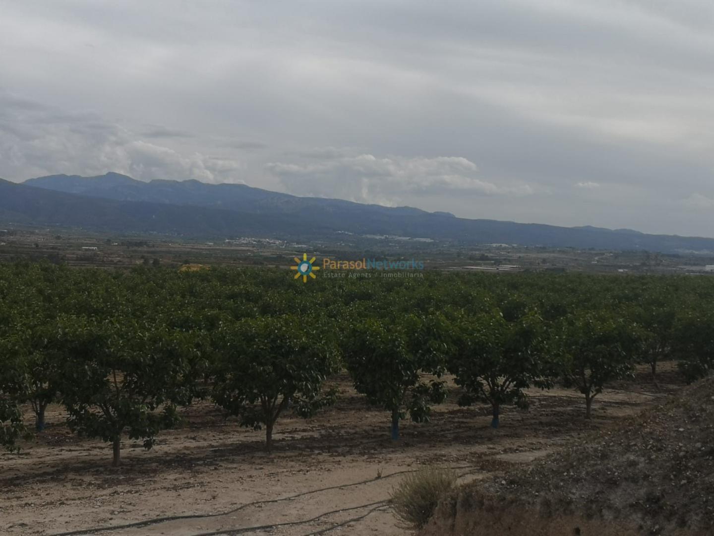 Plot for Sale in Benigánim