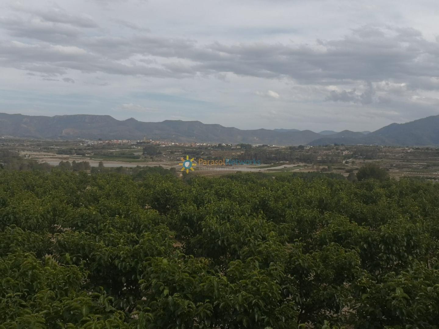 Plot for Sale in Benigánim