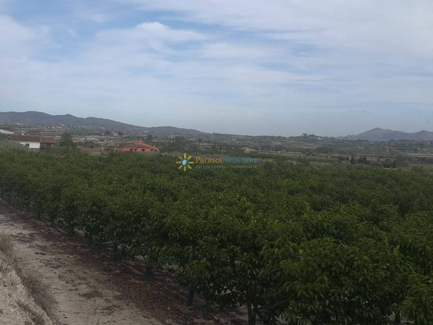 Plot for Sale in Benigánim