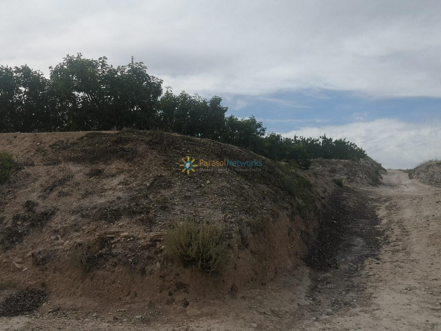 Plot for Sale in Benigánim