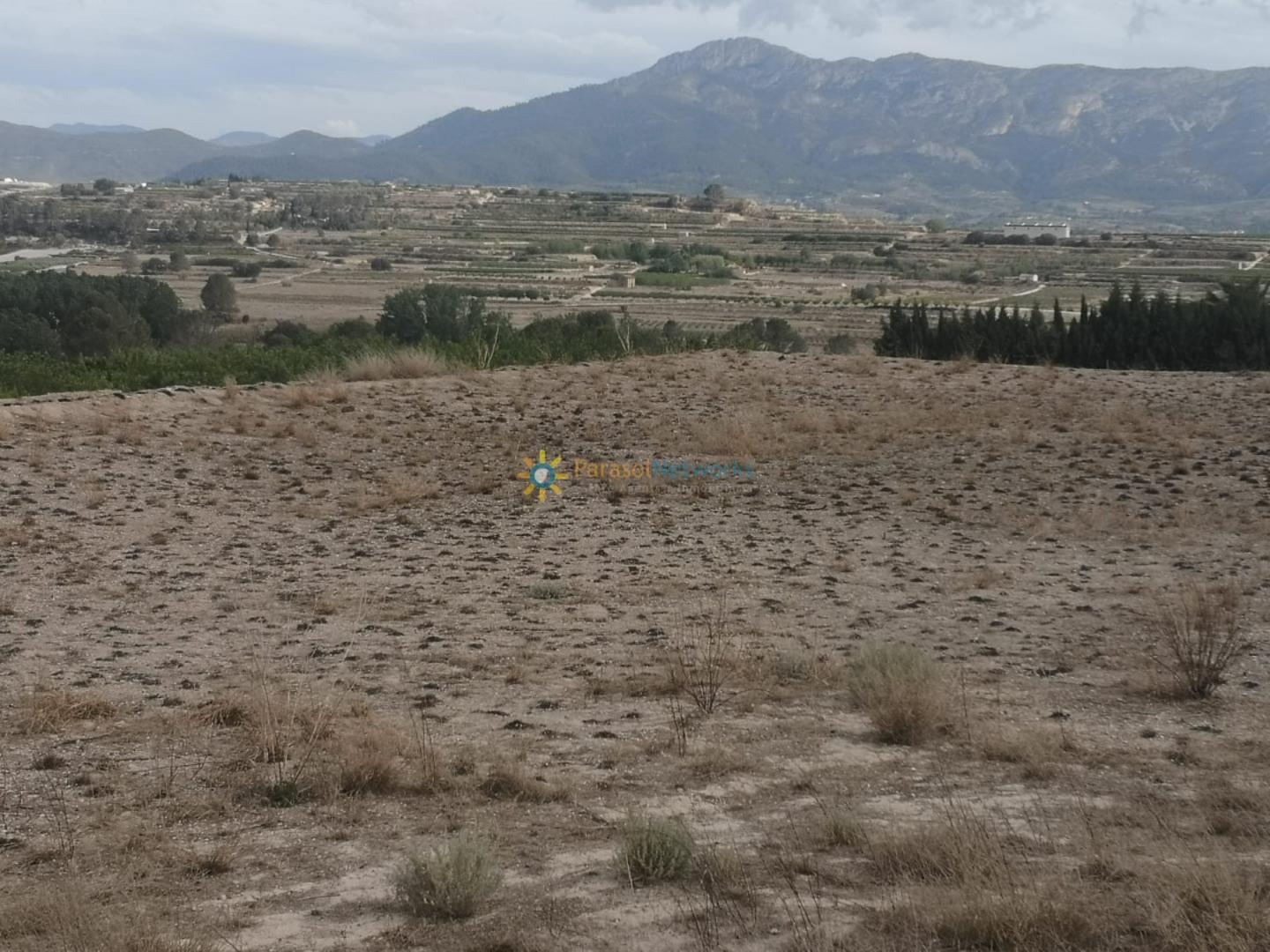 Plot for Sale in Benigánim