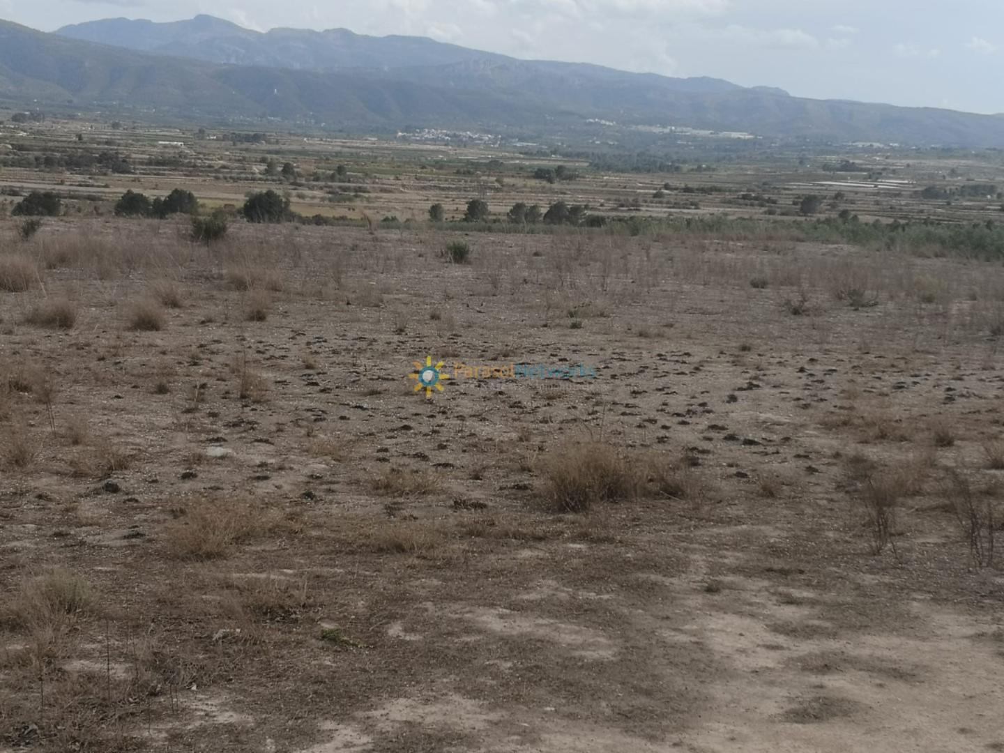 Plot for Sale in Benigánim
