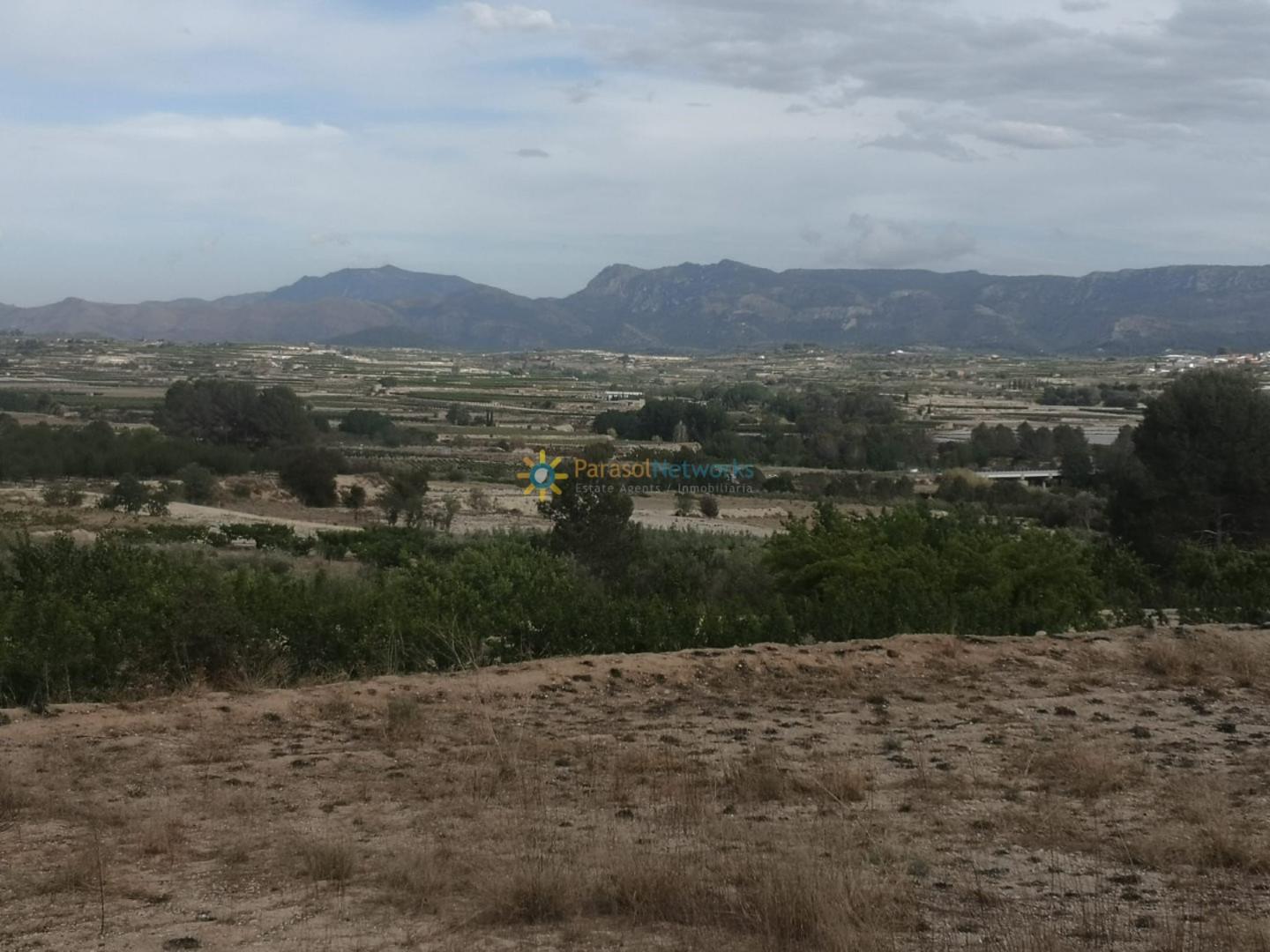 Plot for Sale in Benigánim