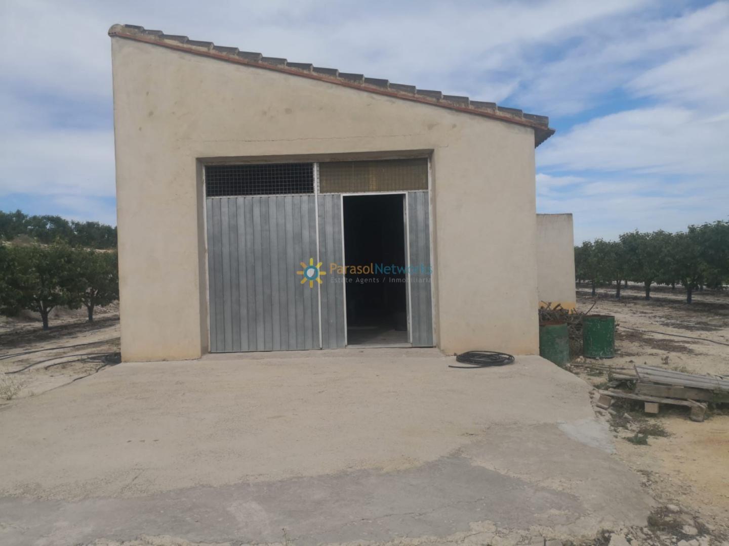 Plot for Sale in Benigánim