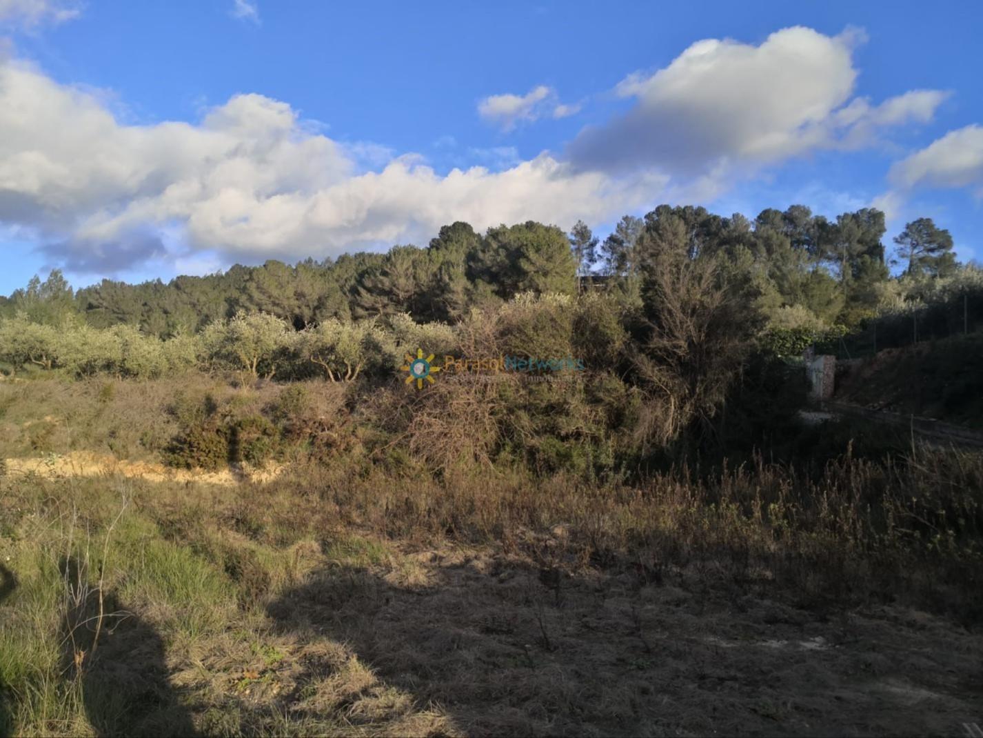 Plot for Sale in Benigánim