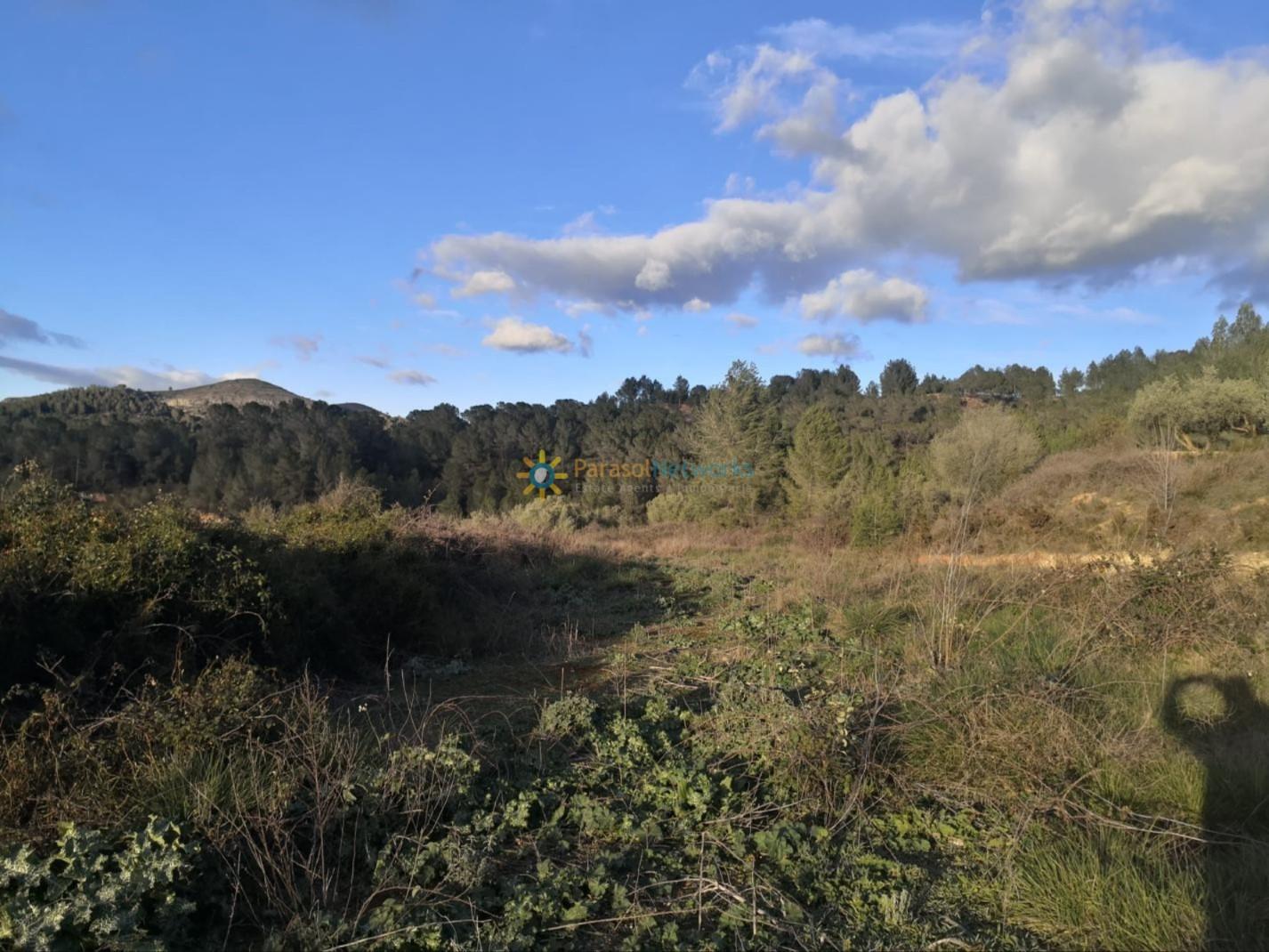 Plot for Sale in Benigánim