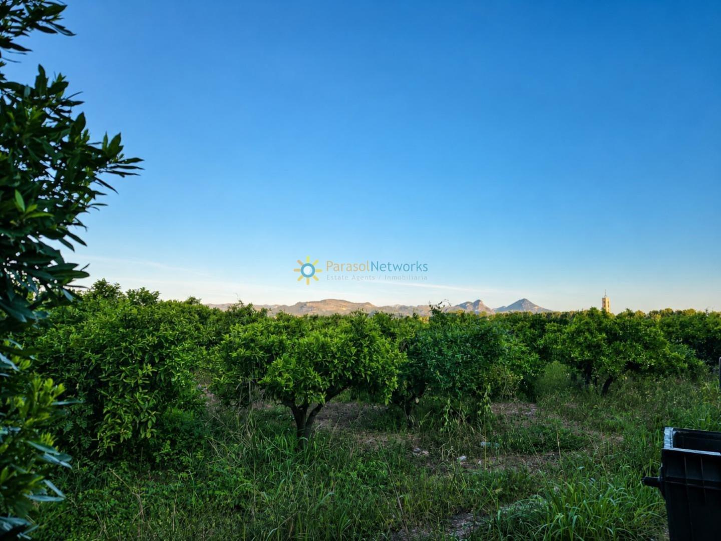 Plot for Sale in Palmera