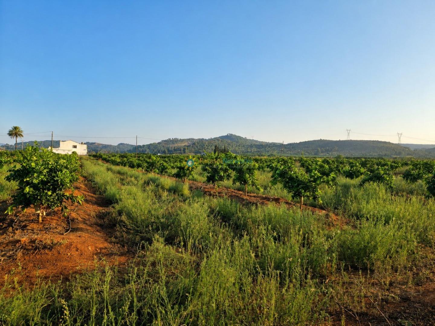 Casa Rural en Venta en Sellent