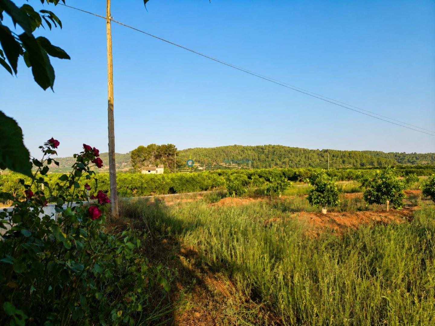 Casa Rural en Venta en Sellent