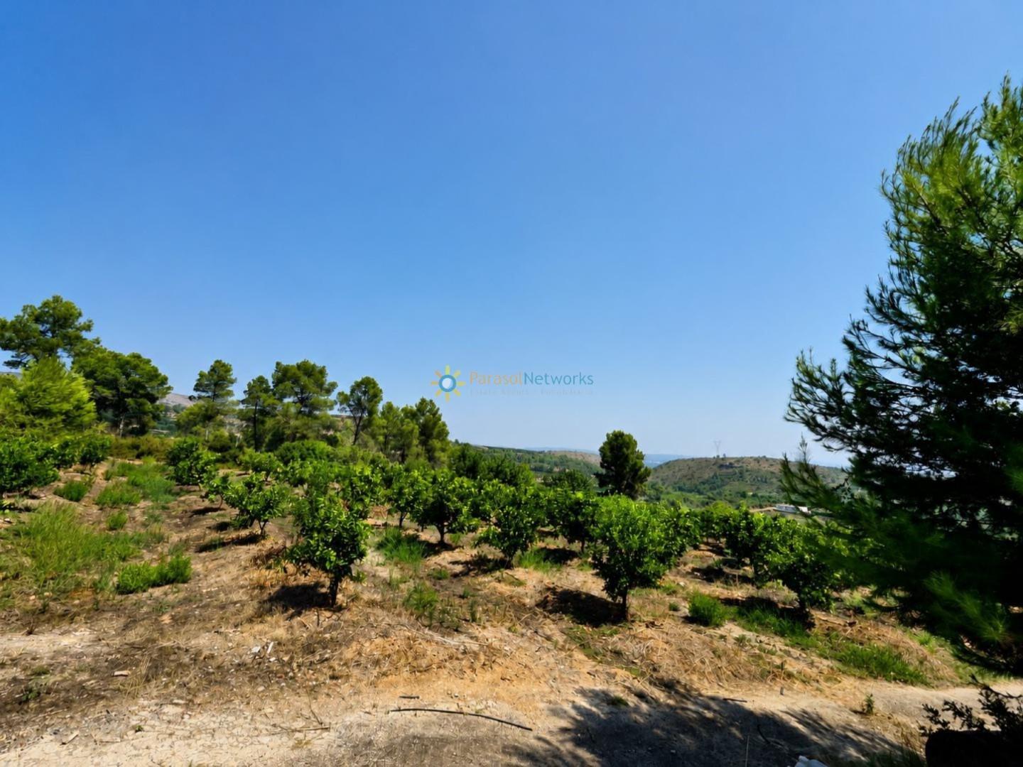 Casa Rural en Venta en Sellent