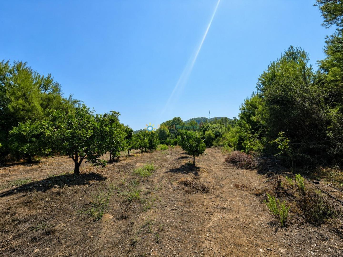 Casa Rural en Venta en Sellent