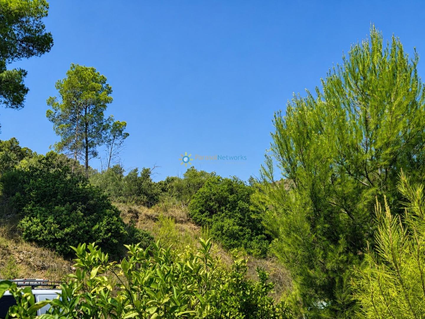 Casa Rural en Venta en Sellent
