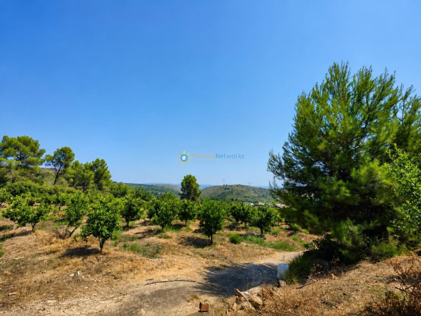 Casa Rural en Venta en Sellent