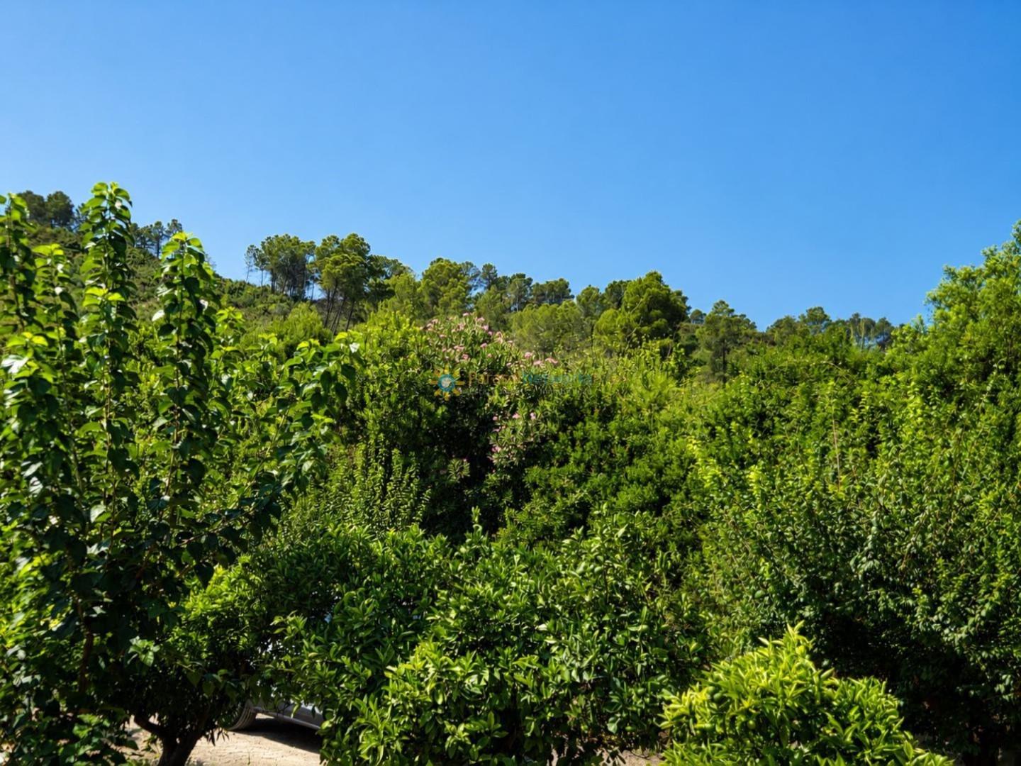 Casa Rural en Venta en Sellent