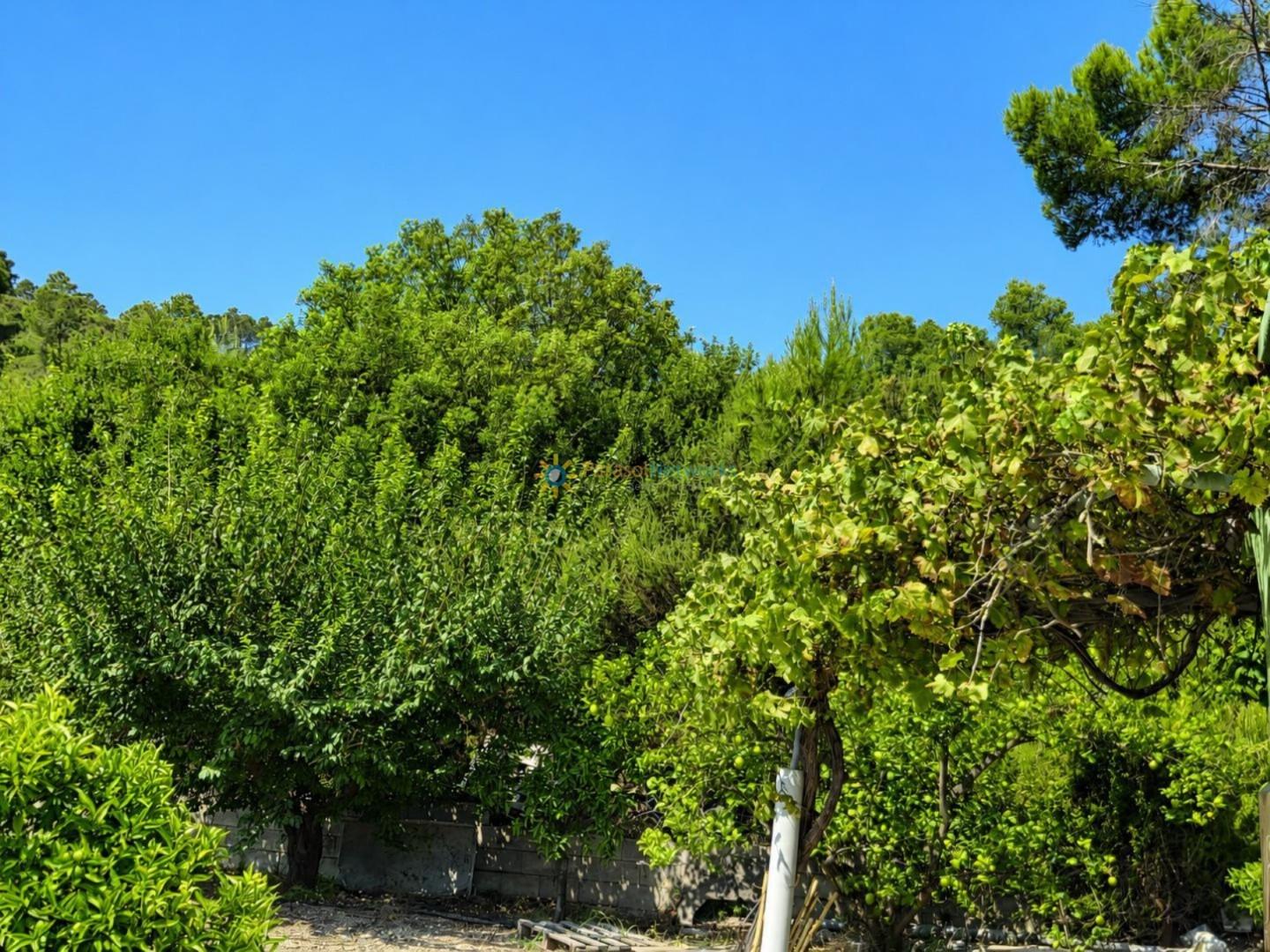 Casa Rural en Venta en Sellent