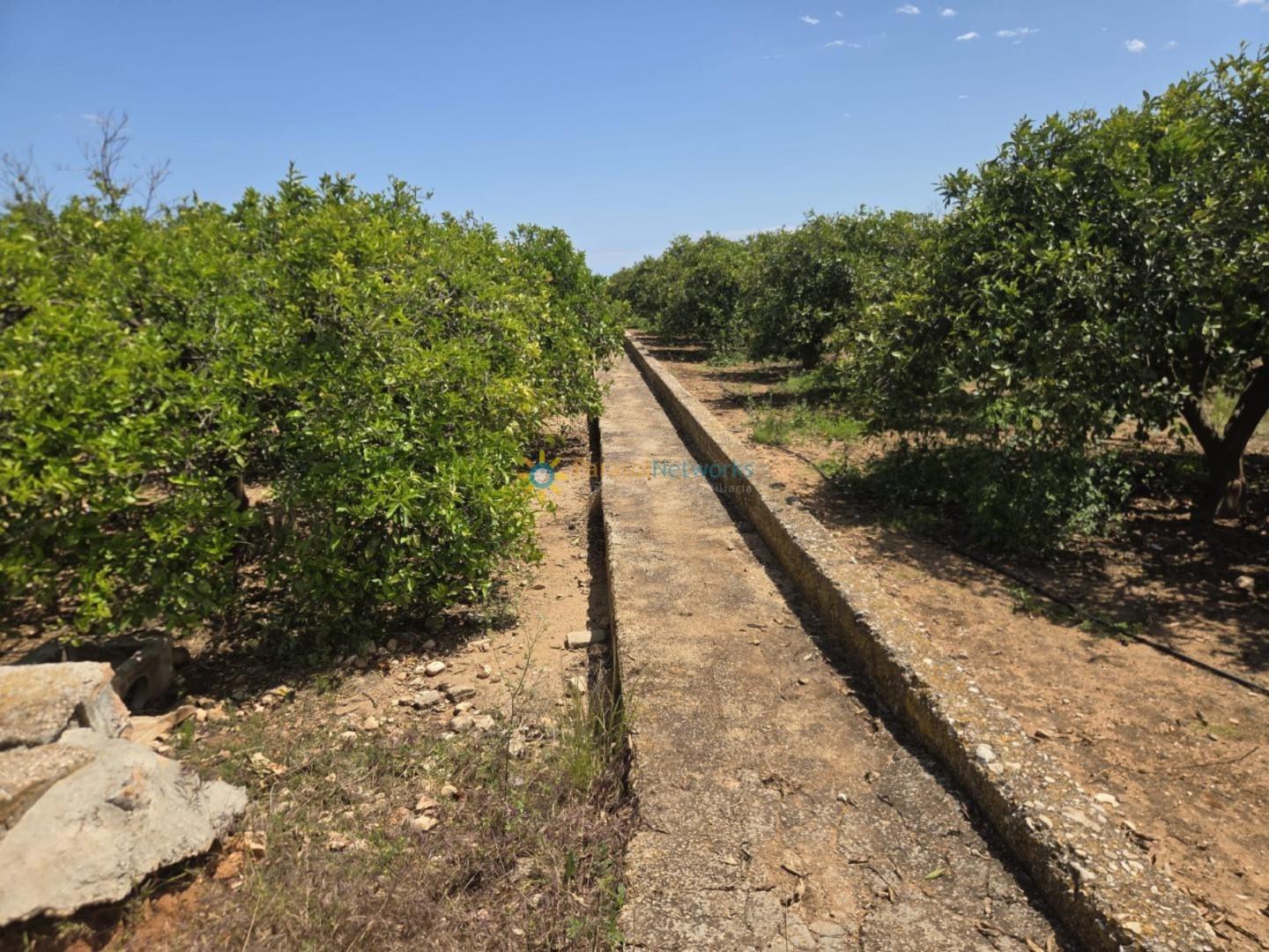 Plot for Sale in Oliva