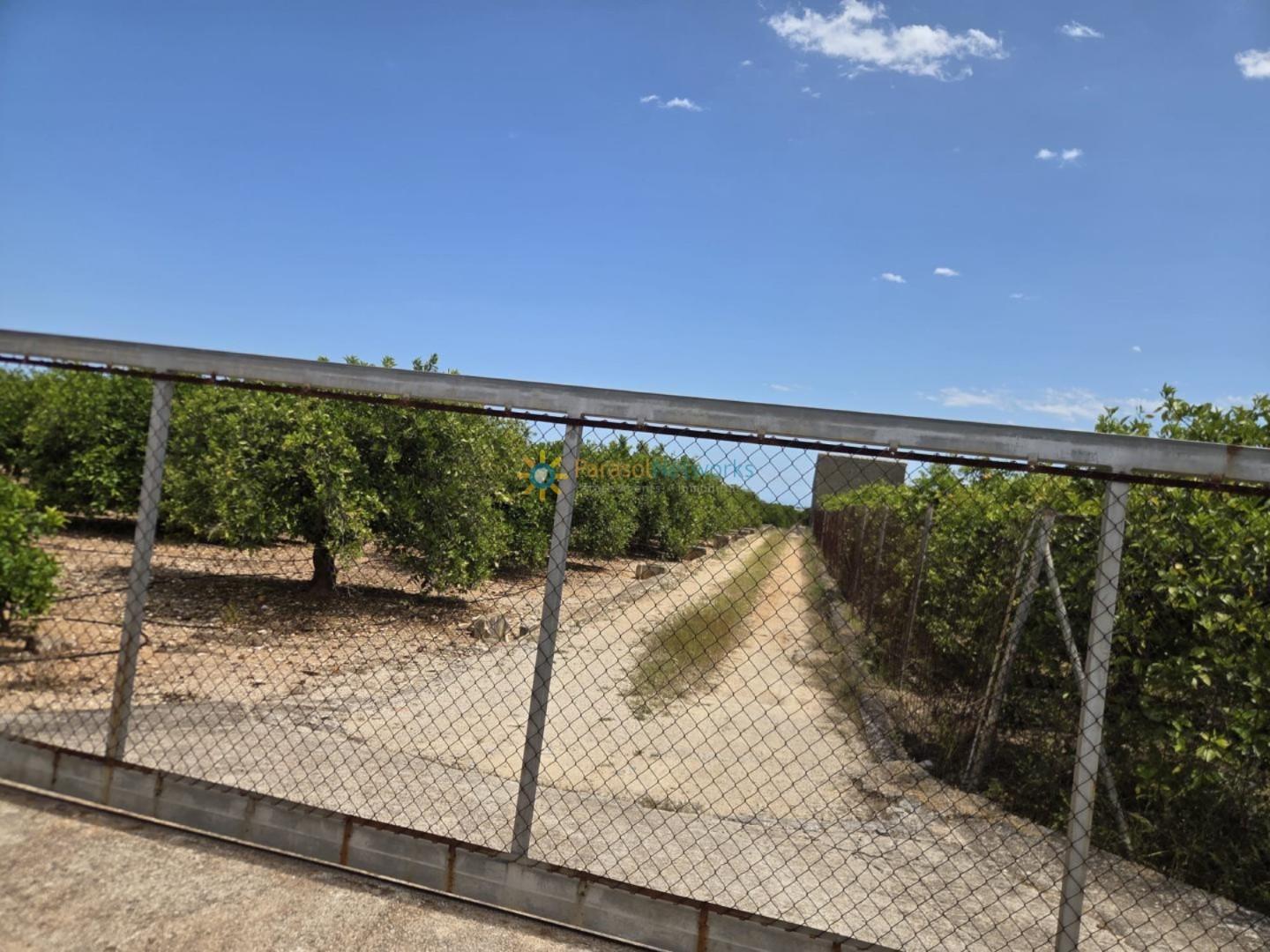 Plot for Sale in Oliva