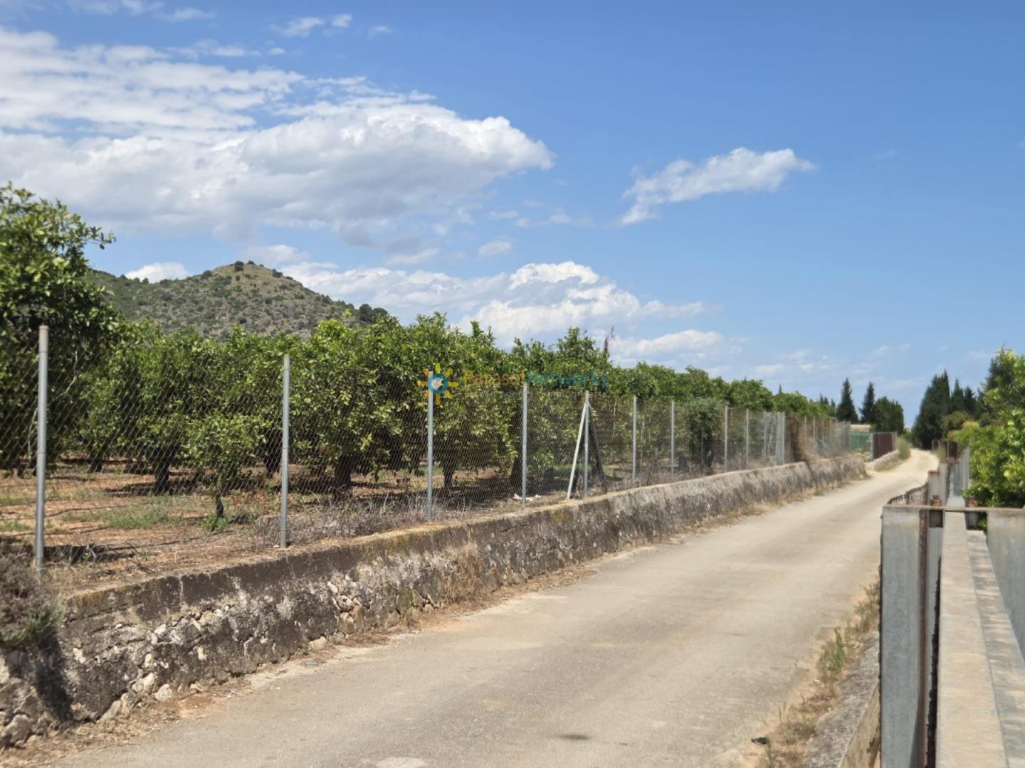 Plot for Sale in Oliva