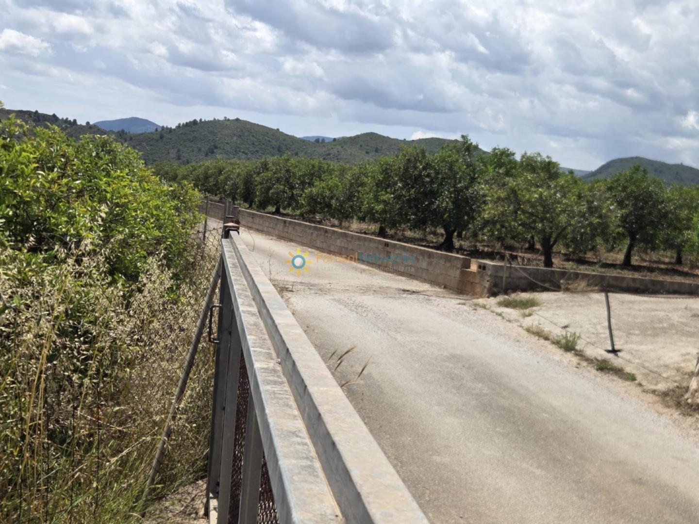 Plot for Sale in Oliva