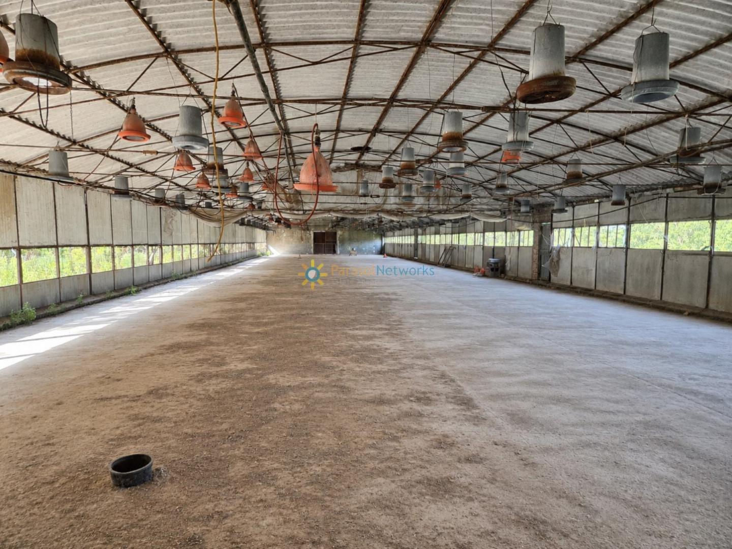 Industrial Unit for Sale in Benigánim