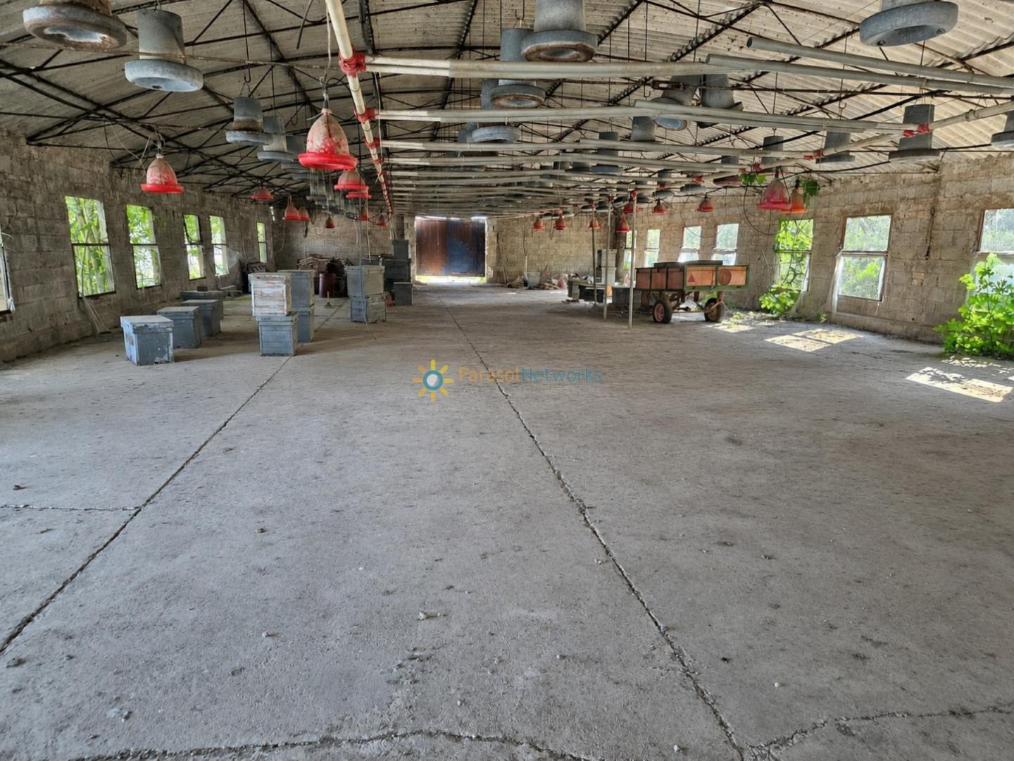 Industrial Unit for Sale in Benigánim