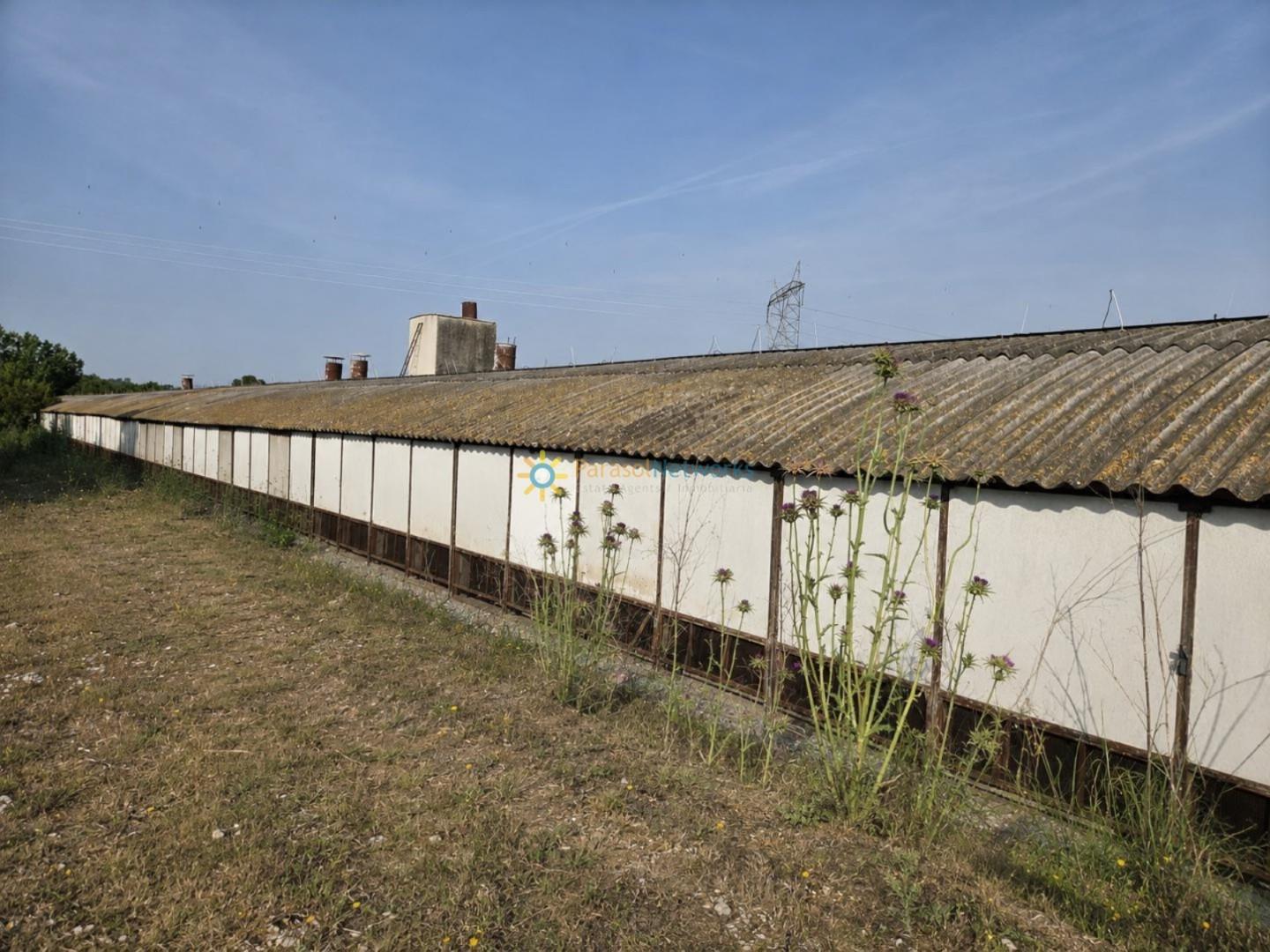 Industrial Unit for Sale in Benigánim