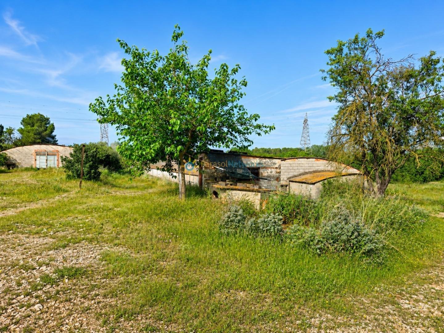 Industrial Unit for Sale in Benigánim