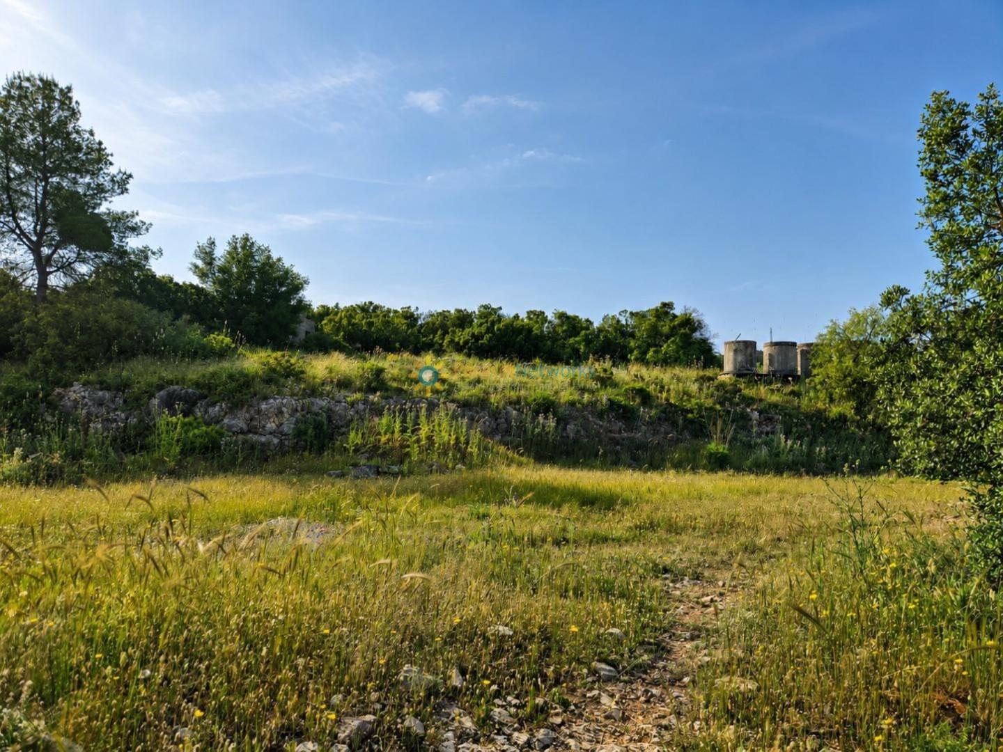 Industrial Unit for Sale in Benigánim