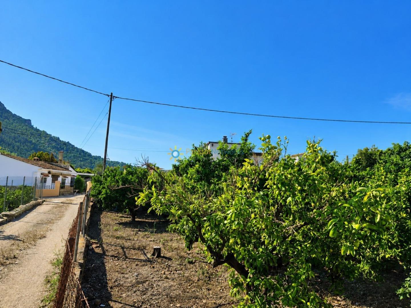 Villa for Sale in Gandia