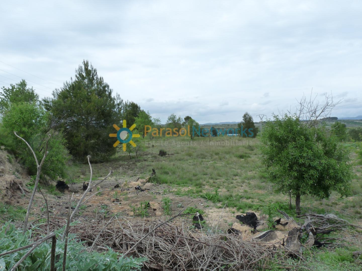 Plot for Sale in Castelló de Rugat