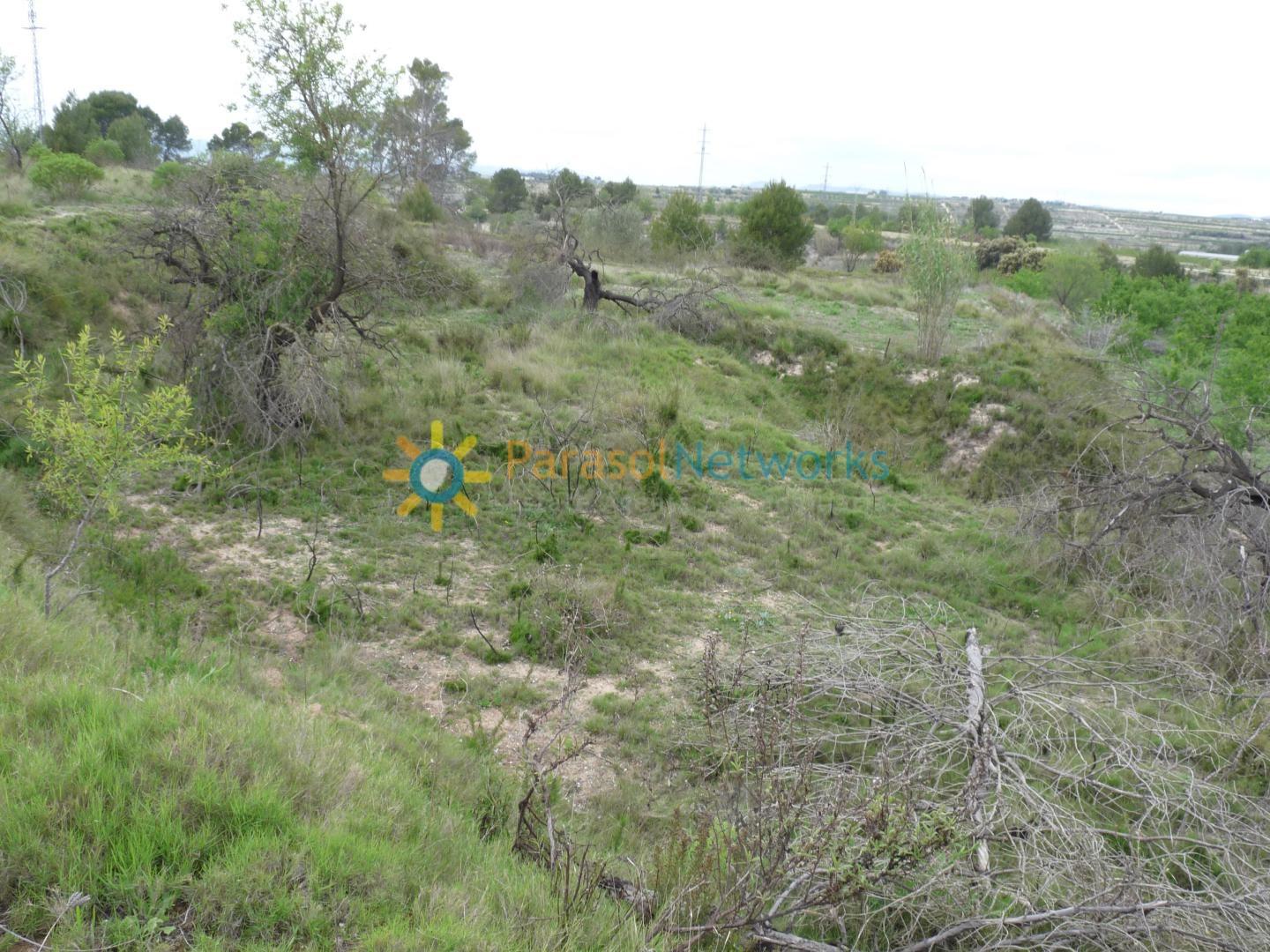 Plot for Sale in Castelló de Rugat
