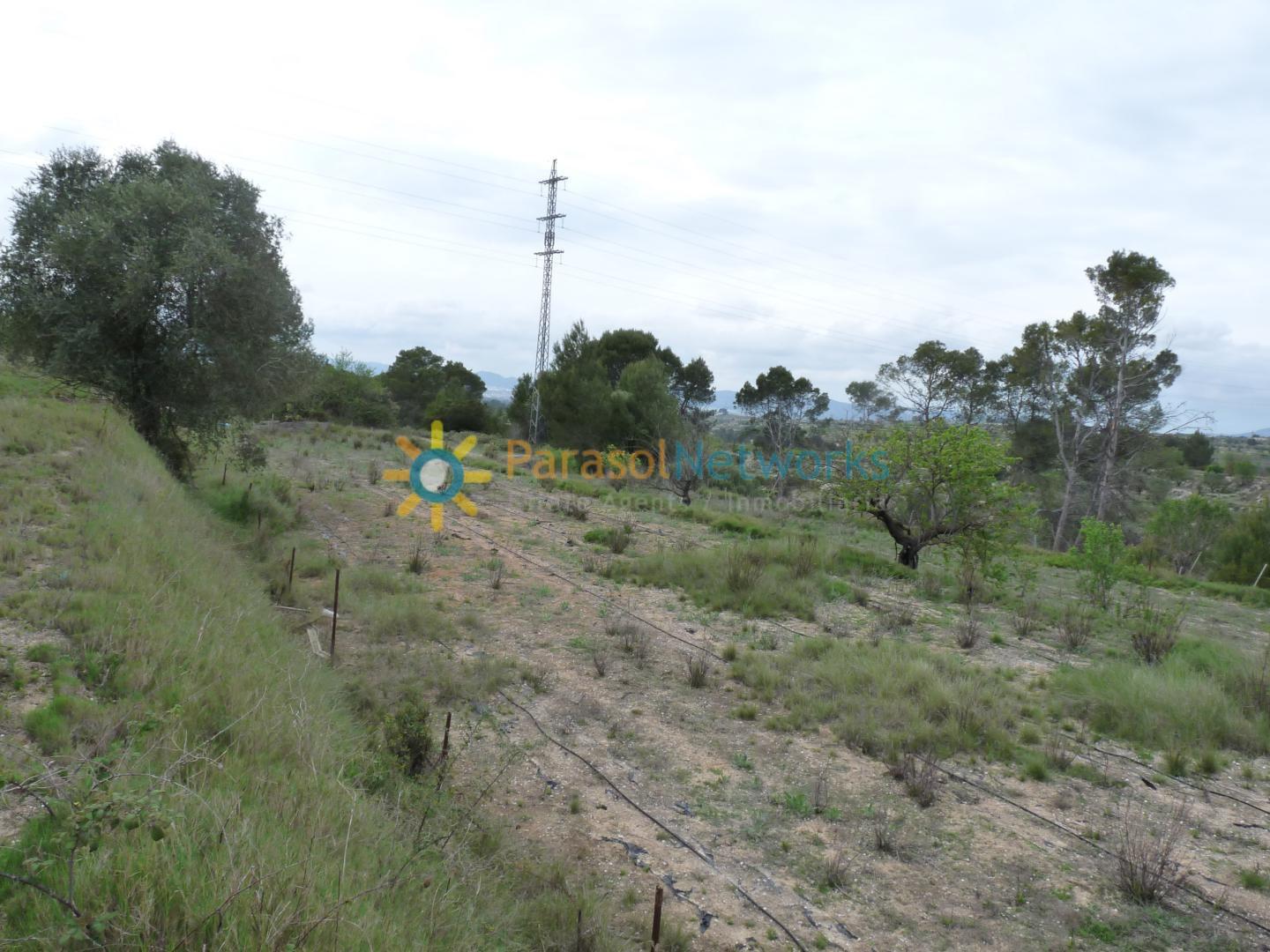 Plot for Sale in Castelló de Rugat
