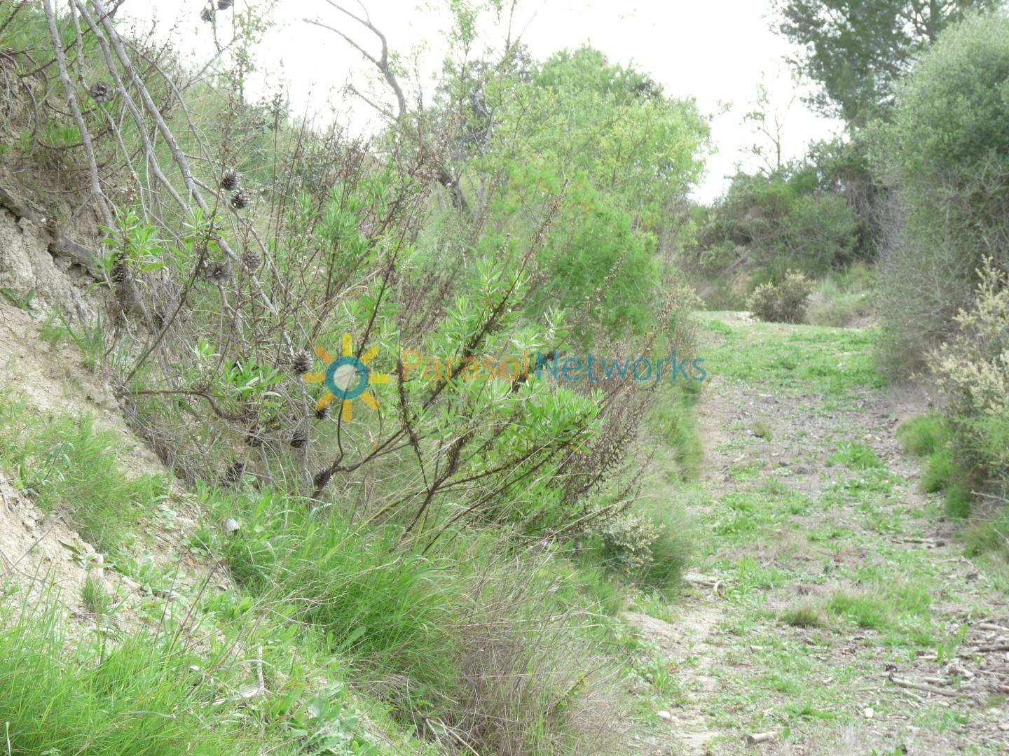 Plot for Sale in Castelló de Rugat