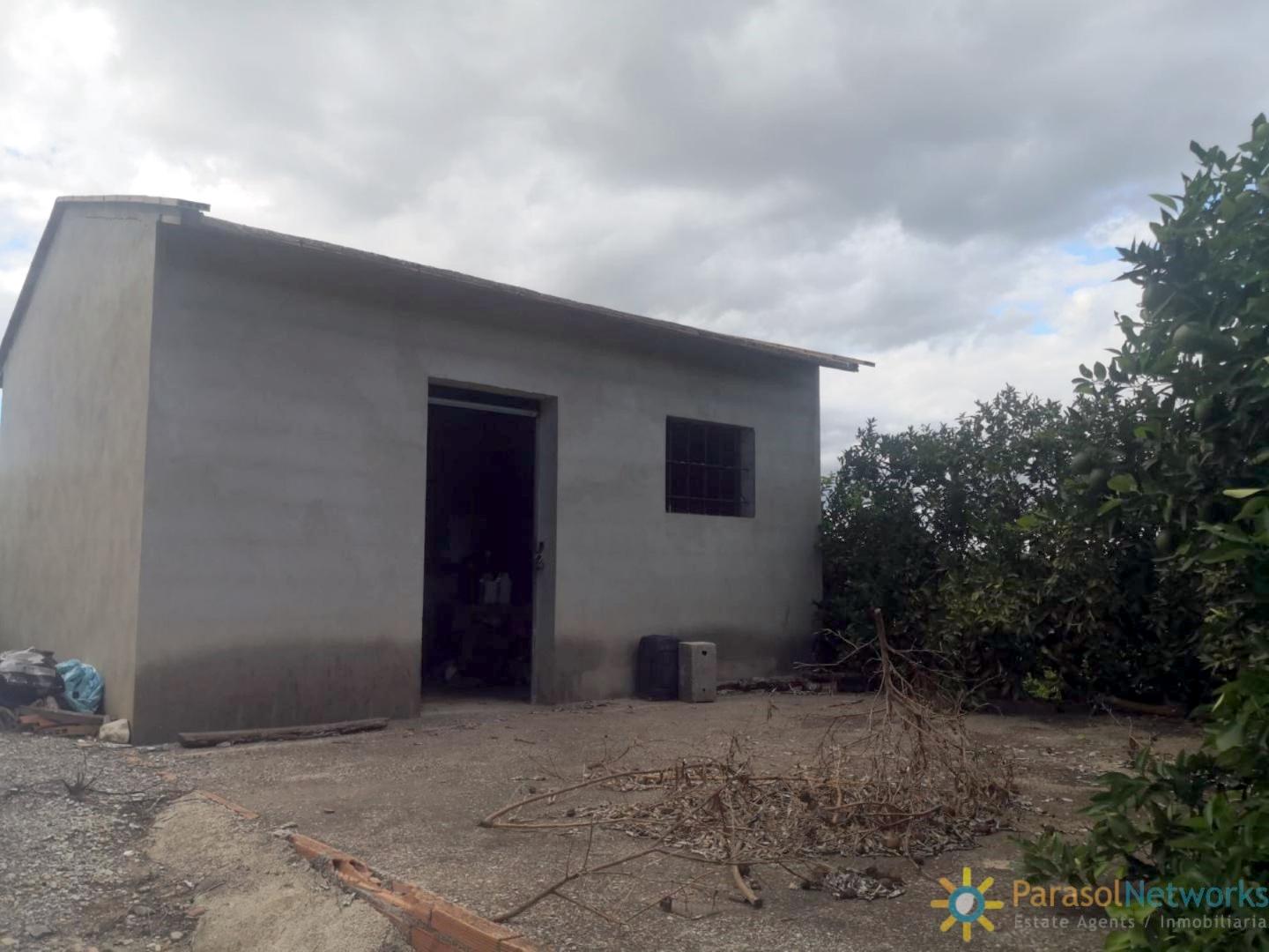 Plot for Sale in Sellent