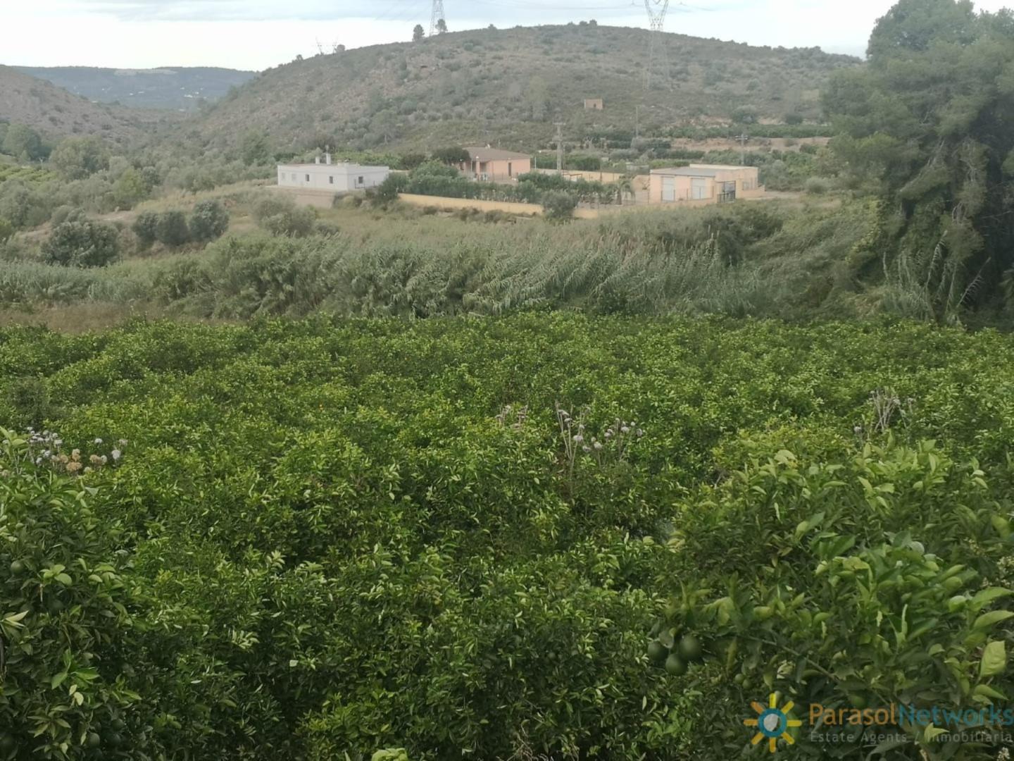 Plot for Sale in Sellent