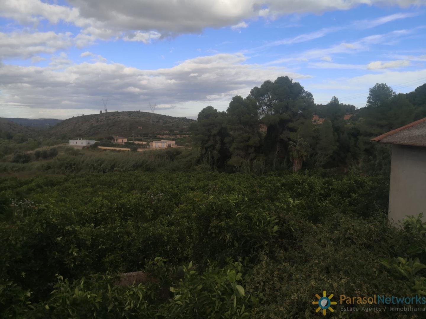 Plot for Sale in Sellent