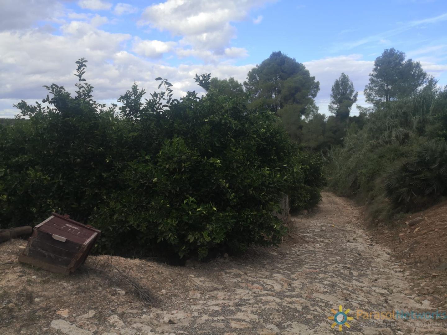 Plot for Sale in Sellent