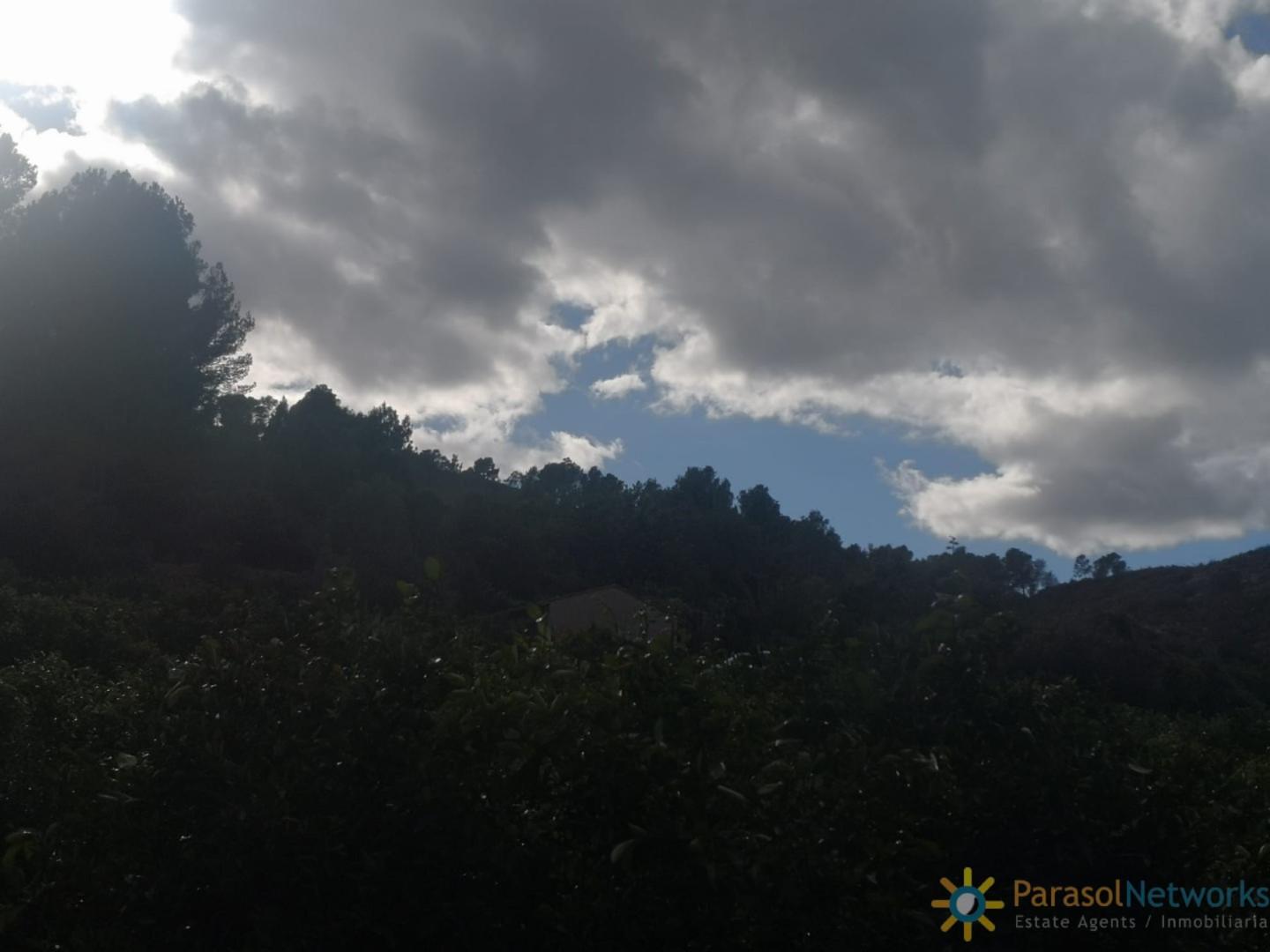 Plot for Sale in Sellent