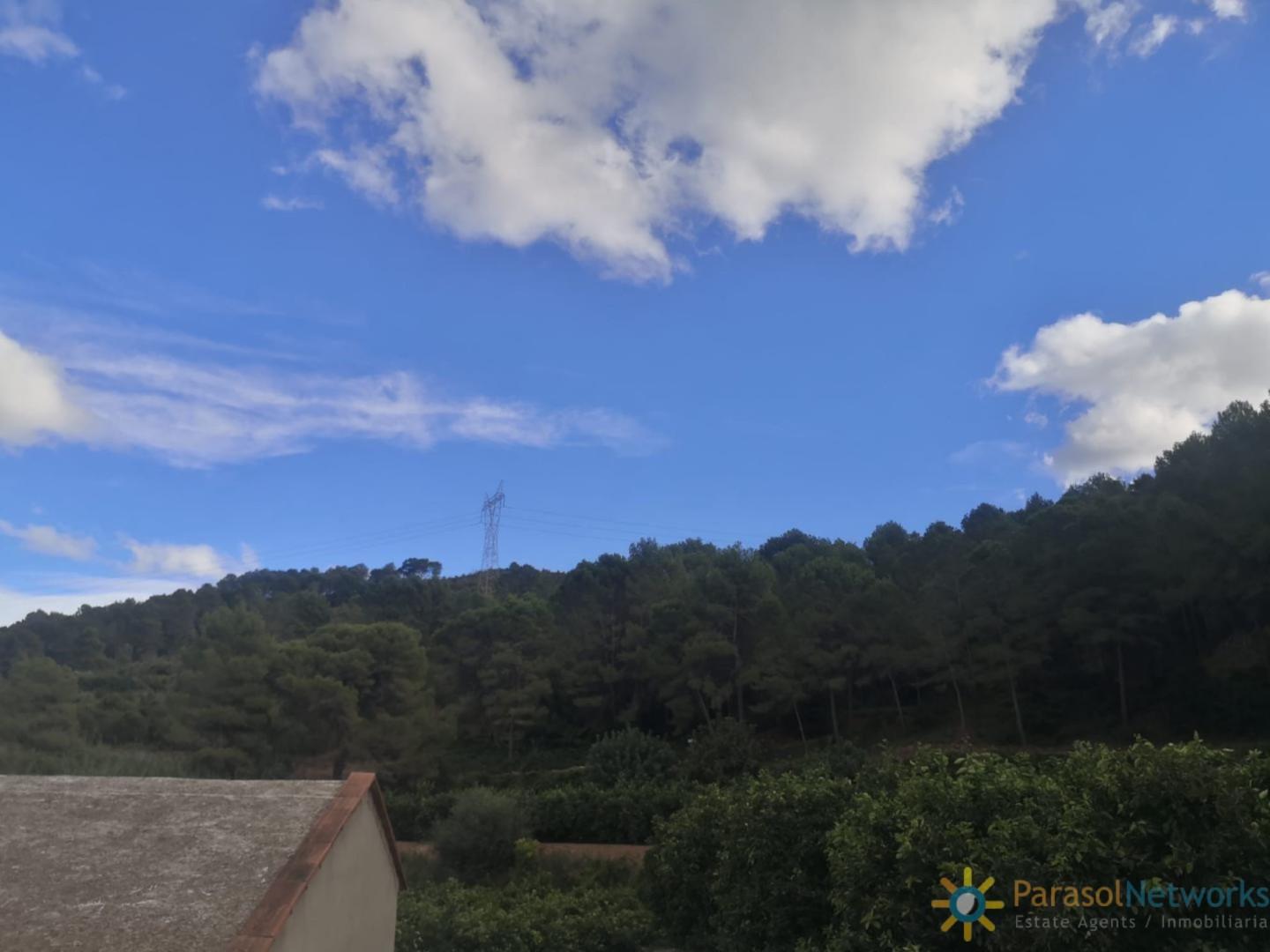 Plot for Sale in Sellent