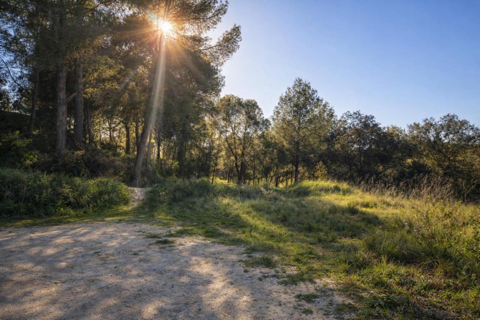 Plot for Sale in Montaverner