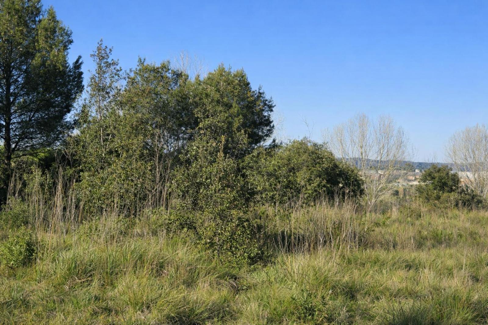 Plot for Sale in Montaverner