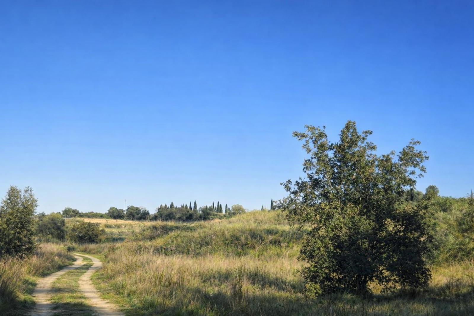 Plot for Sale in Montaverner