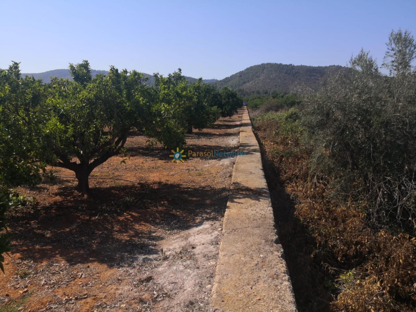 Plot for Sale in Oliva