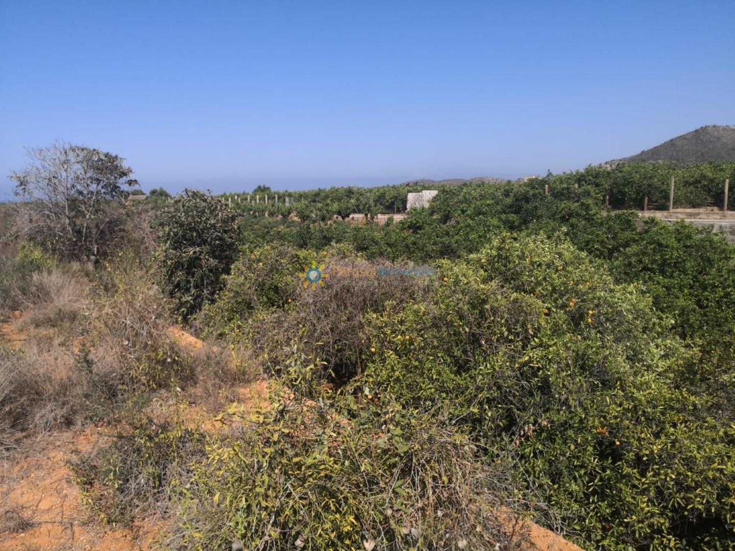 Plot for Sale in Oliva