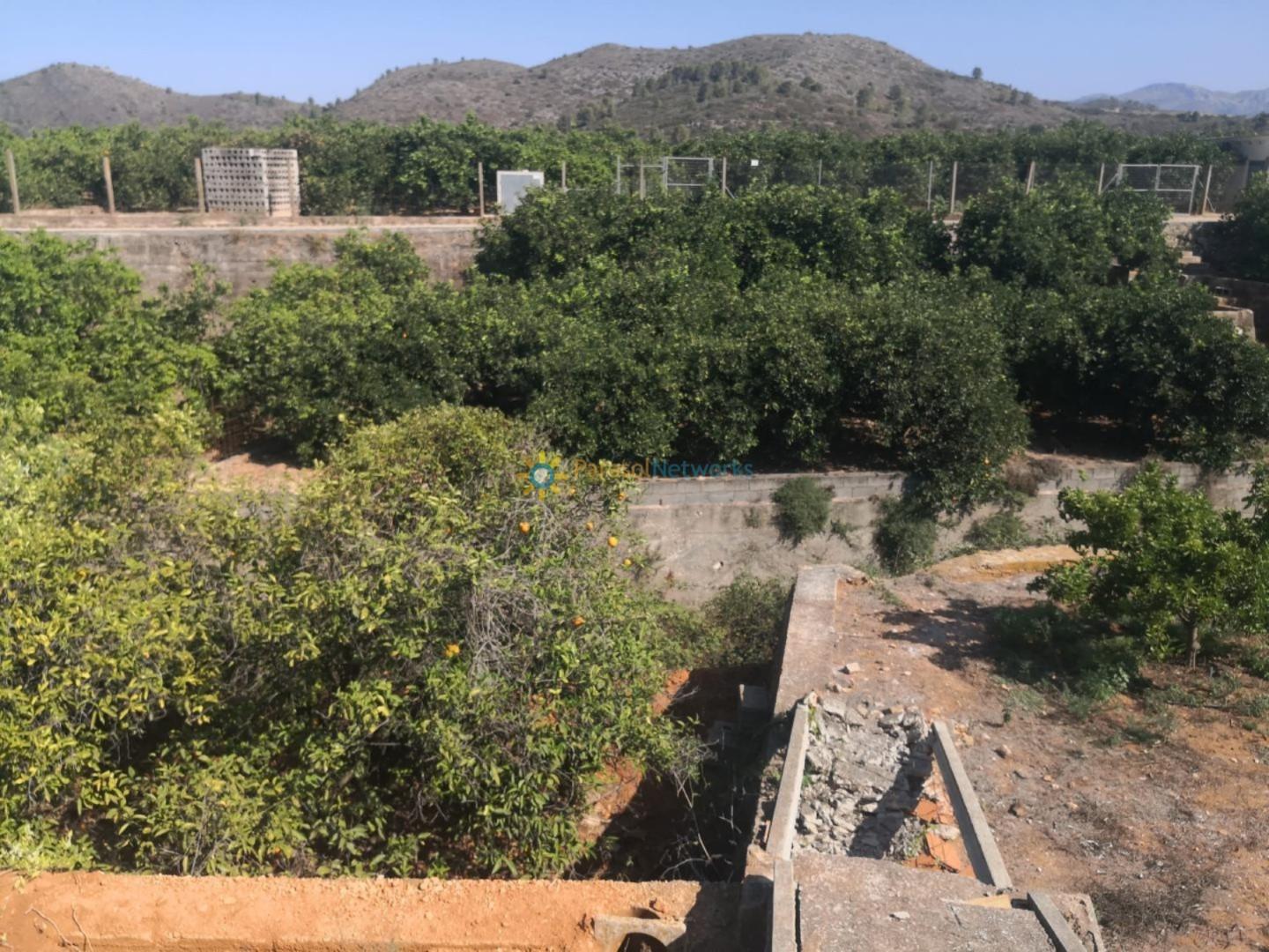 Plot for Sale in Oliva