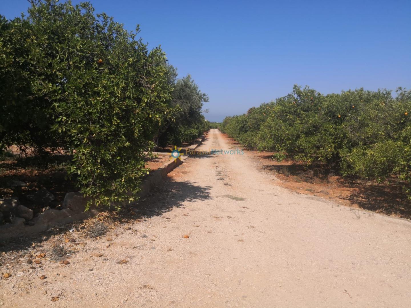 Plot for Sale in Oliva