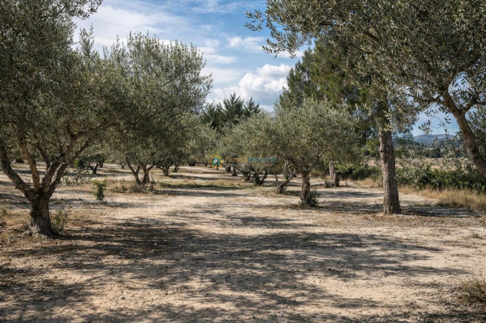 Chalet for Sale in Bufali